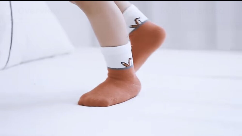 Organic Cotton Kids’ Socks Socks for Toddlers & Little Kids | Fox